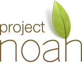 Project Noah Logo