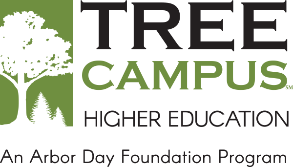 logo-tree-campus-higher-education-landscape