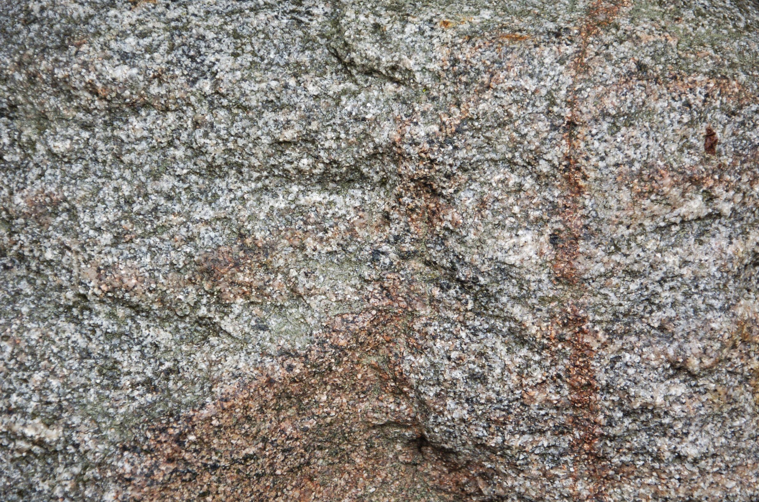 Granite Gneiss Purdue Arboretum Explorer