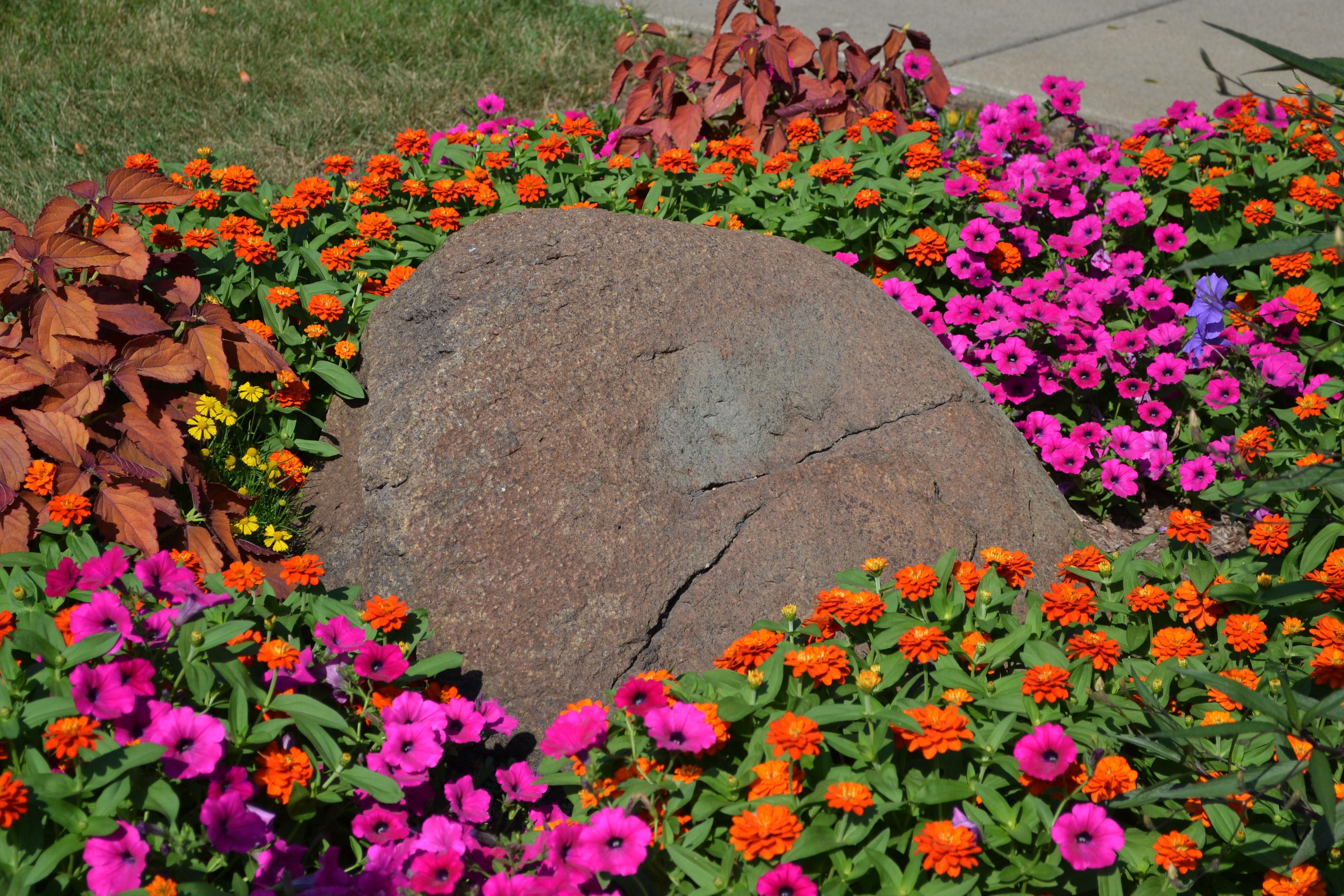Granite Purdue Arboretum Explorer