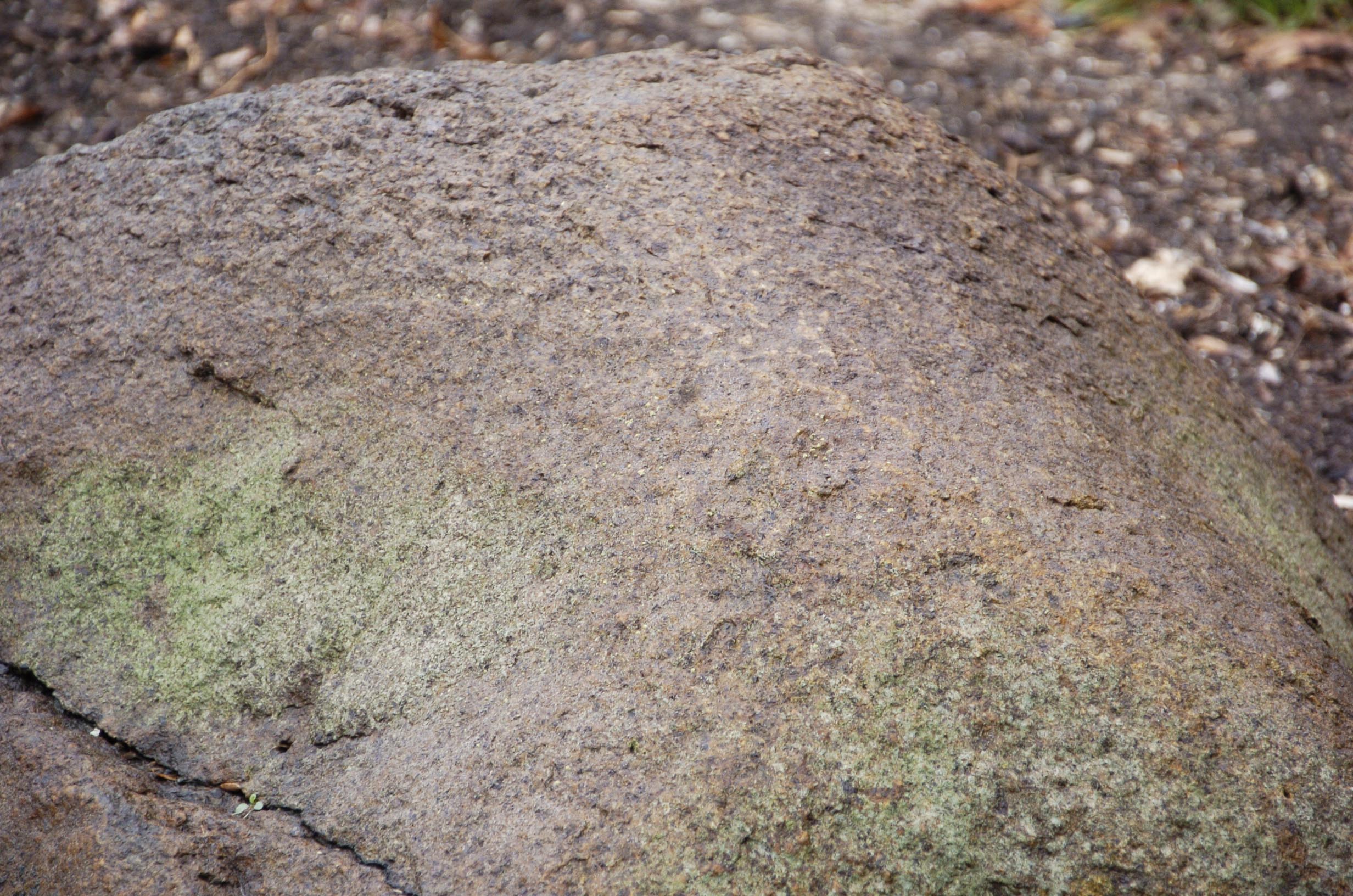 Granite Purdue Arboretum Explorer