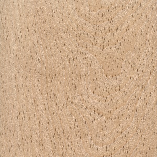 American Beech sanded face, image courtesy of The Wood Database