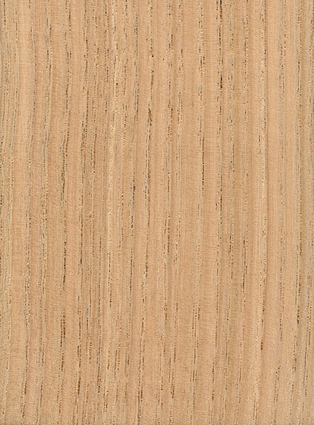 Sanded face grain of american chestnut, image courtesy of The Wood Database