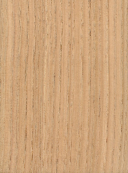 Sanded face grain of american chestnut, image courtesy of The Wood Database
