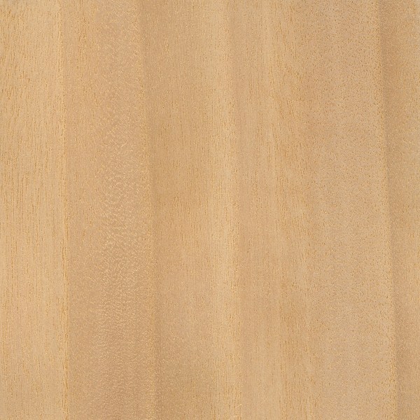 Black willow sanded face, image courtesy of The Wood Database