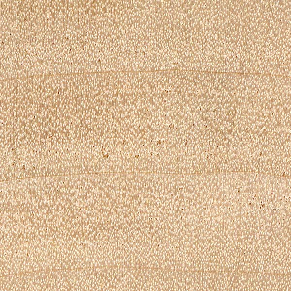 10x magnification of buckeye end grain, image courtesy of The Wood Database