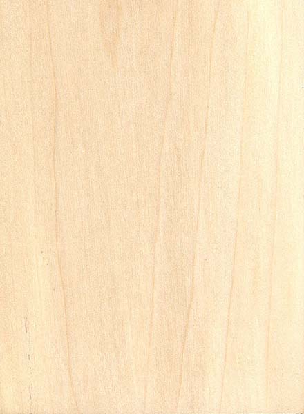 Buckeye sanded face, image courtesy of The Wood Database