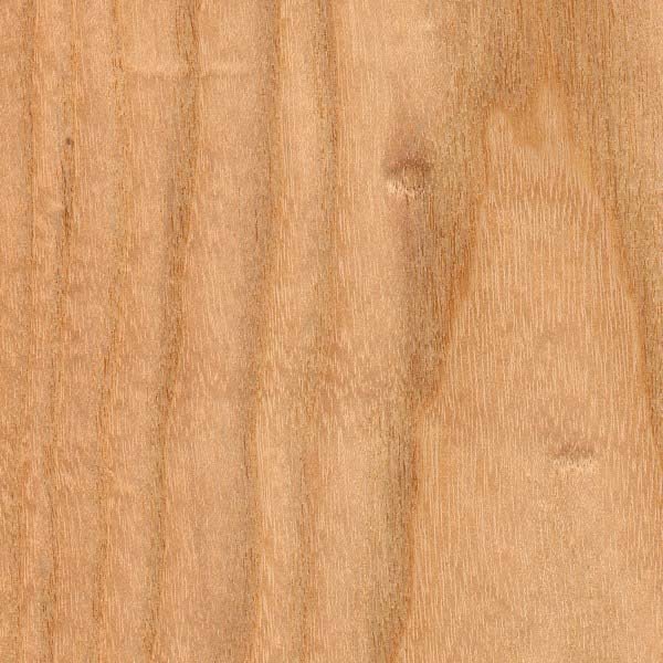 Kentucky Coffeetree sanded face