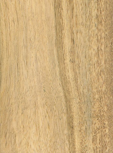 Persimmon sanded face, image courtesy of The Wood Database