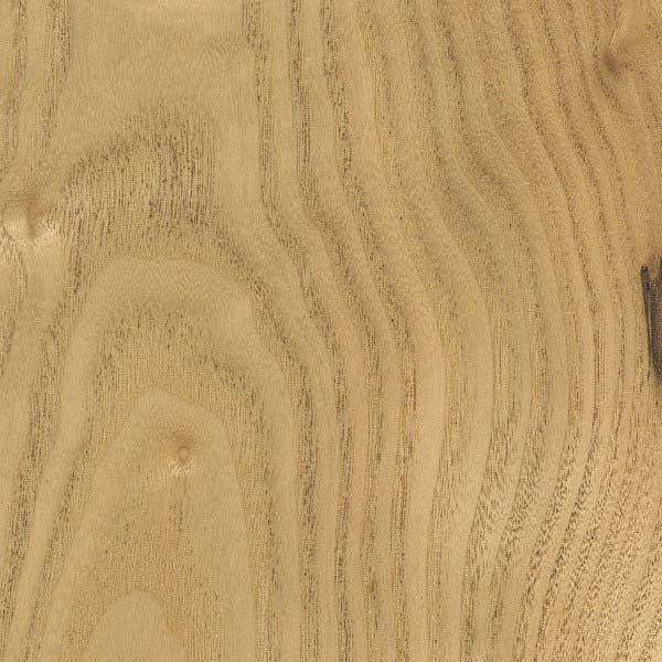 Sassafras sanded face, image courtesy of The Wood Database