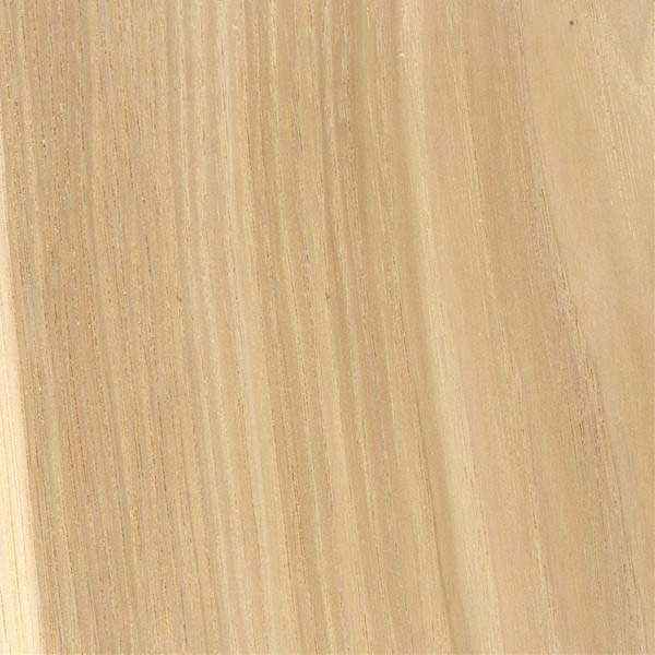 sanded face of shagbark hickory, image courtesy of The Wood Database