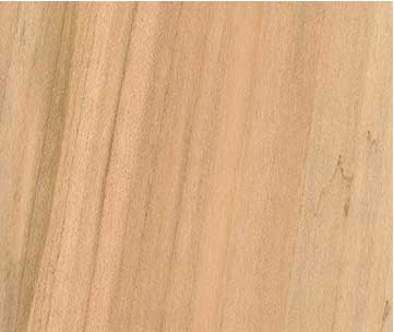 Soft maple sanded face, image courtesy of The Wood Database