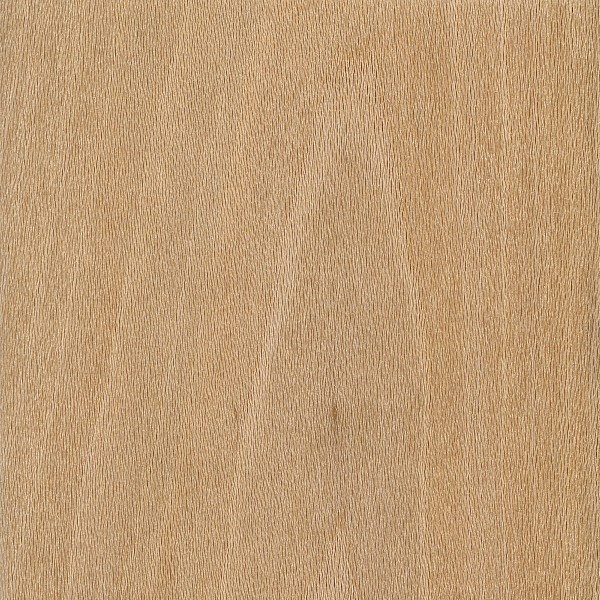 Sycamore sanded face, image courtesy of The Wood Database