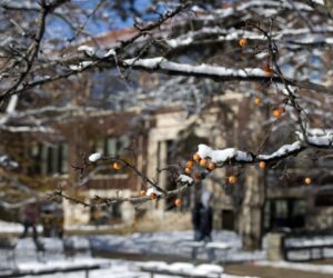 Campus Snow Photo