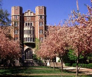 Cary Quadrangle South