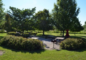 Pickett Park - Picnic Tables