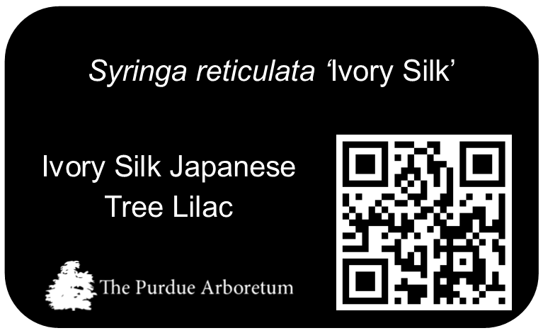 QR Shrub Sign Example