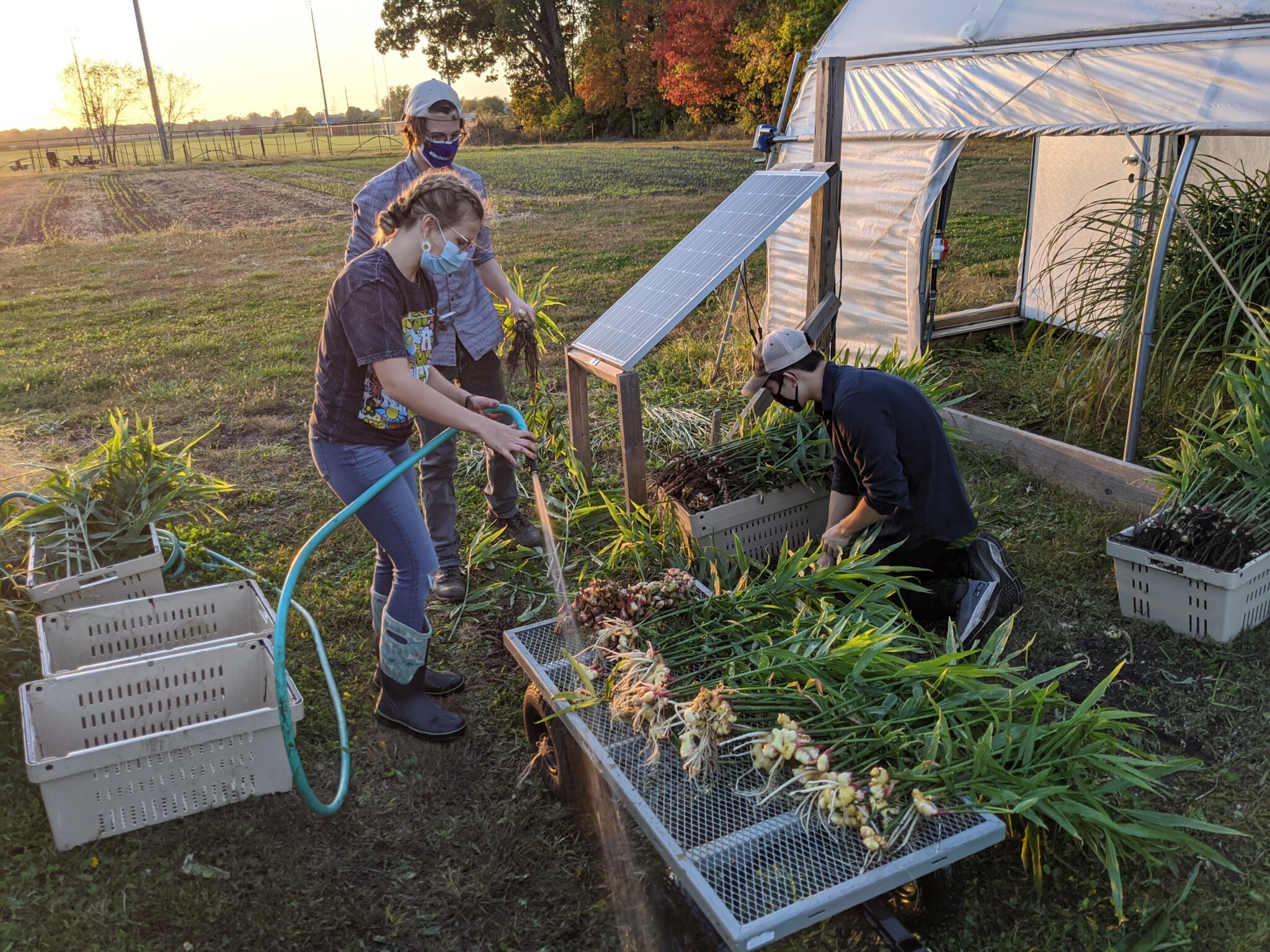 Student Farm