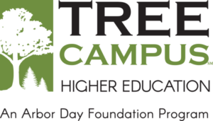 logo-tree-campus-higher-education-landscape