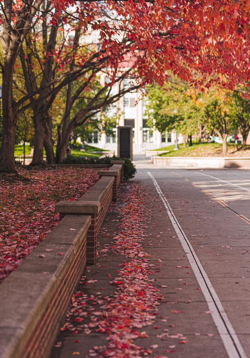 Fall 2020 Campus Scenes