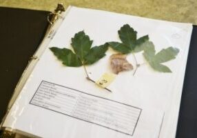 Plant ID Book